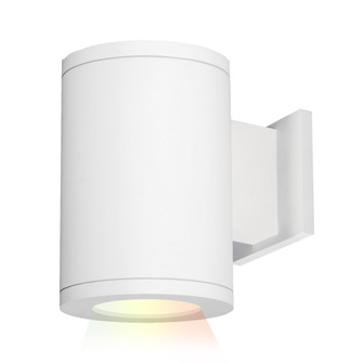 Tube Arch LED Wall Light in White (34|DS-WS05-FB-CC-WT)
