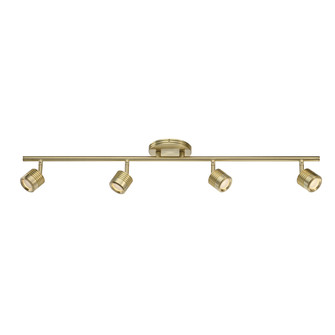Vector LED Fixed Rail in Brushed Brass (34|TK-49534-BR)