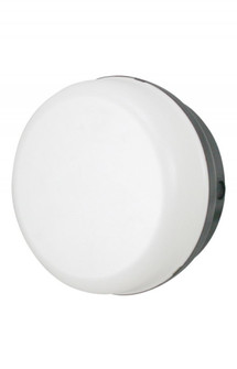 LED Gardian One Light Ceiling Mount in Black (301|165FM-LR12W-BK)