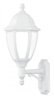 Everstone LED One Light Lantern in Whitestone (301|S11SF-LR12W-WH)