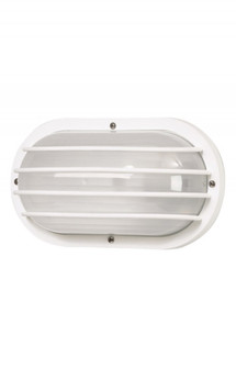Nautical One Light Wall Mount in White (301|S76WF-WH)