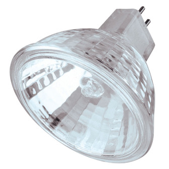 Bulb Light Bulb in Clear (88|0621200)