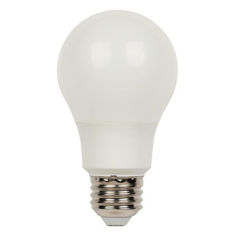 Light Bulb in Soft White (88|4369700)