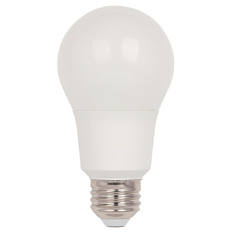 Light Bulb in Soft White (88|4514100)