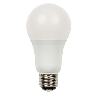 Light Bulb in Soft White (88|5314000)