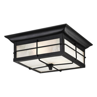 Orwell Two Light Flush Mount in Textured Black (88|6204800)