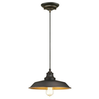 Iron Hill One Light Pendant in Oil Rubbed Bronze With Highlights (88|6344700)