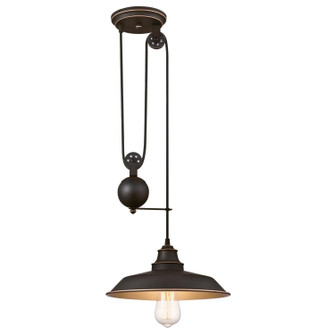 Iron Hill One Light Pendant in Oil Rubbed Bronze With Highlights (88|6363200)