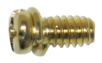 Motor Screw Kit 10-Piece Motor Screw Kit in Brass (88|7704700)