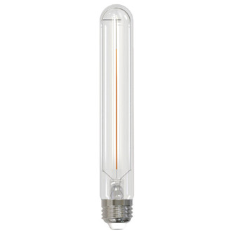 Filaments: Light Bulb in Clear (427|776715)