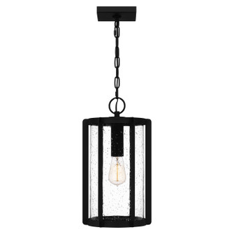 Hazel One Light Outdoor Hanging Lantern in Earth Black (10|HAZ1909EK)