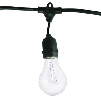 String String Light in Black (427|810004)