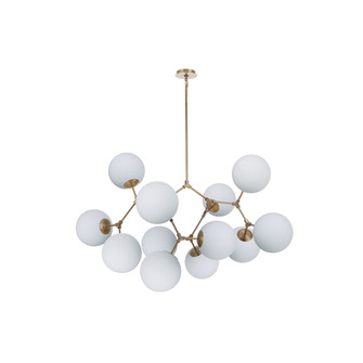 Epiphany 12 Light Chandelier in Brass (90|981211)