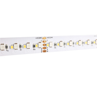 LED Tape Light (399|DI-24V-VLX-RGBW-100)