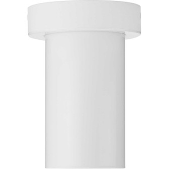 3In Cylinders One Light Adjustable Ceiling Mount in White (54|P550140-030)