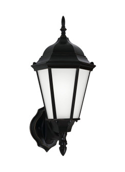 Bakersville One Light Outdoor Wall Lantern in Black (1|89941EN3-12)