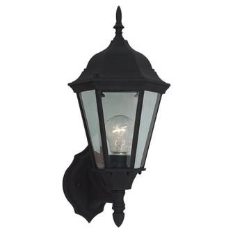 Bakersville One Light Outdoor Wall Lantern in Black (1|88941-12)