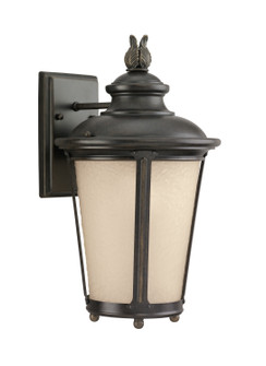 Cape May One Light Outdoor Wall Lantern in Burled Iron (1|88241EN3-780)