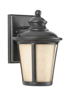 Cape May One Light Outdoor Wall Lantern in Burled Iron (1|88240DEN3-780)