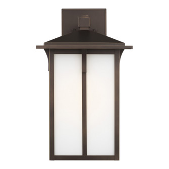 Tomek One Light Outdoor Wall Lantern in Antique Bronze (1|8752701-71)