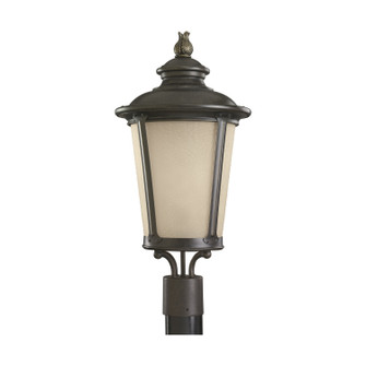 Cape May One Light Outdoor Post Lantern in Burled Iron (1|82240-780)