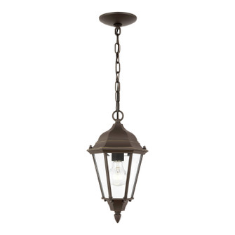 Bakersville One Light Outdoor Pendant in Antique Bronze (1|60938-71)