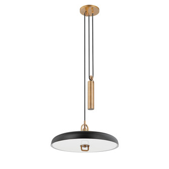 Plummet LED Pendant in Patina Brass/Soft Black (67|F1618-PBR/SBK)