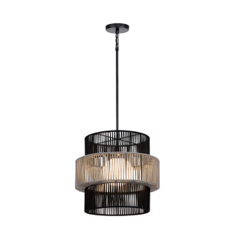 Aden One Light Pendant in Black (40|46632-012)