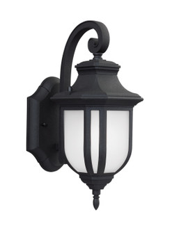 Childress One Light Outdoor Wall Lantern in Black (1|8536301-12)