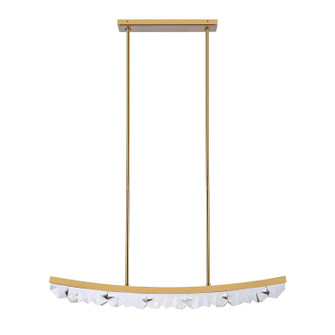 Arcus LED Linear Pendant in Aged Brass (360|PL11613-LED-48-AGB)