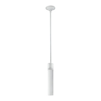 Zigrina One Light Pendant in Matte White (360|P11706-E26-MW-G7)