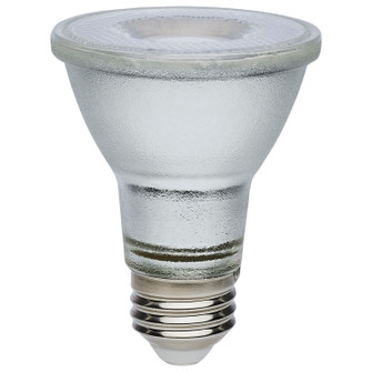 Light Bulb in Silver (230|S11494)