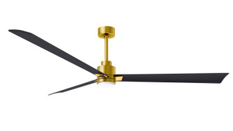 Alessandra 72''Ceiling Fan in Brushed Brass (101|AKLK-BRBR-BK-72)