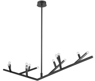 The Oaks 12 Light Linear Pendant in Black (192|HF8812-BLK)