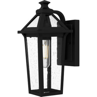 Boulevard One Light Outdoor Wall Mount in Matte Black (10|BLV8406MBK)