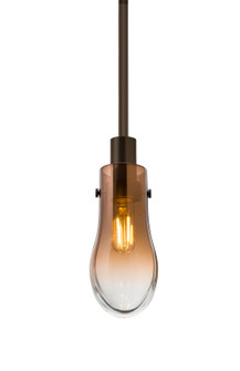 Wish One Light Pendant in Bronze (74|1TT-WISHAM-EDIL-BR)