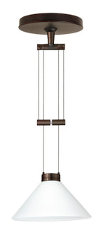 Kona One Light Pendant in Bronze (74|1XA-117607-BR)