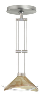 Hoppi One Light Pendant in Satin Nickel (74|1XA-181305-SN)