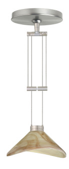 Hoppi One Light Pendant in Satin Nickel (74|1XA-191383-SN)