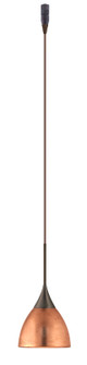 Divi One Light Pendant in Bronze (74|RXP-1758CF-BR)