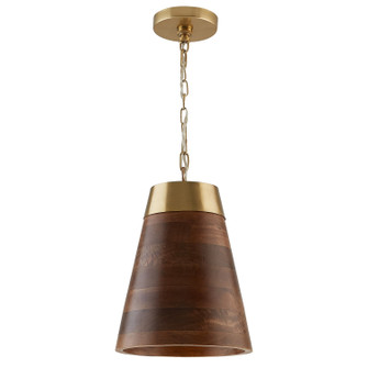 Dodd One Light Pendant in Dark Wood and True Brass (65|330314WR)