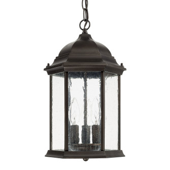 Main Street Three Light Outdoor Hanging Lantern in Old Bronze (65|9836OB)