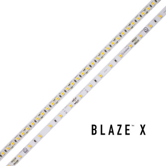 LED Tape Light (399|DI-12V-BLX2-35-400) LED Tape Light (399|DI-12V-BLX2-35-400)