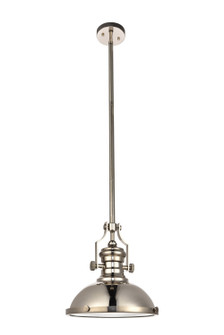 Eamon One Light Pendant in Polished Nickel (173|LD5001D13PN)