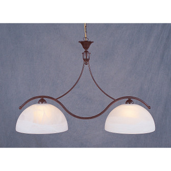 European Crafted Two Light Island Pendant in Rust (45|1144/2)