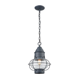 Onion One Light Outdoor Pendant in Aged Zinc (45|57173/1)