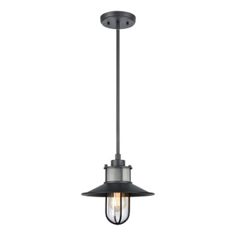 Coastal Farm One Light Outdoor Pendant in Charcoal (45|69375/1)