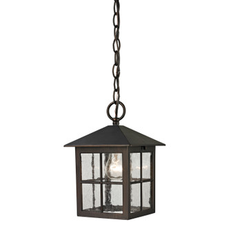 Shaker Heights One Light Outdoor Pendant in Hazelnut Bronze (45|8201EH/70)