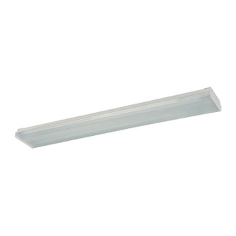 Fluor Two Light Flush Mount in Clear (45|FWN232EB)