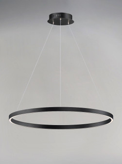 Groove LED Pendant in Black (86|E22724-BK)
